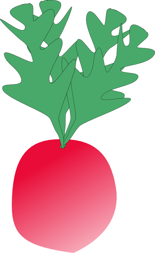 Fresh Radish, Vegetable, Food, Plant, Red, Small, Fresh - Radish Clip Art (461x750)