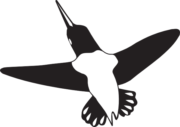 Black And White Hummingbird Shower Curtain (600x424)