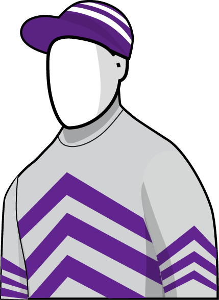 Grey Lion 2016 Melbourne Cup Silks - Grey Lion 2016 Melbourne Cup Silks (429x588)
