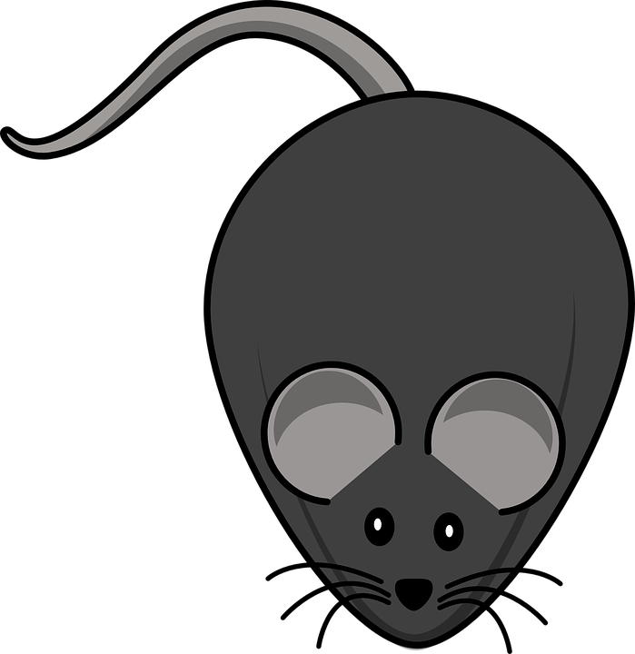 Computer Mouse Cartoon 21, - Fat Mouse Clipart (699x720)