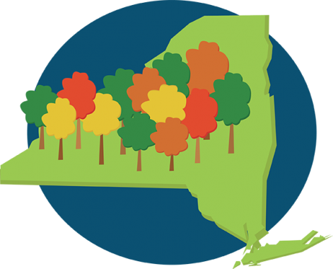 A Healthier Upstate - Author (471x380)