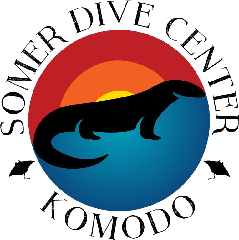 Dive Komodo With Us - Ny Ny North Mission (800x800)