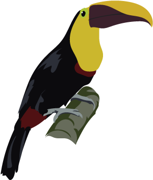 Toucans - Toucan (400x400)