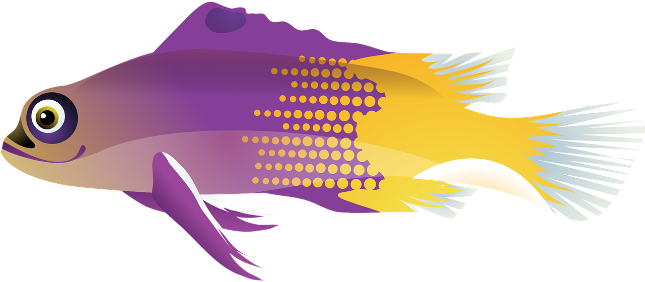 How To Make A Fish With Pencil - Tropical Fish Graphic (1280x640)