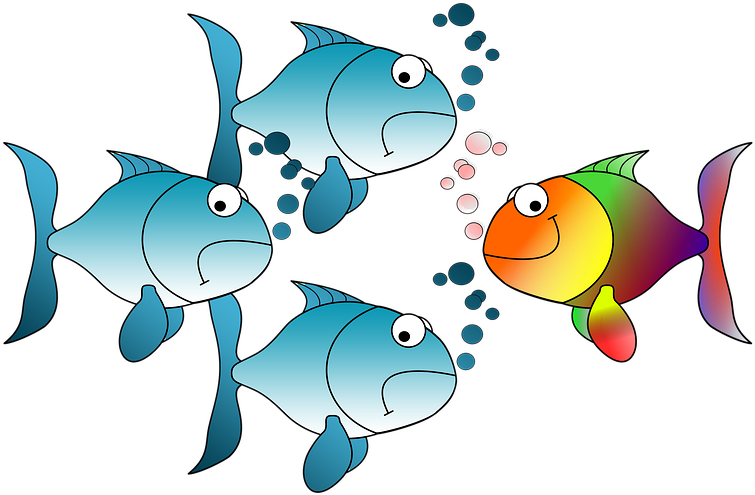 Against The Current, Fish, Silhouettes, Individuality - Custom Cartoon Tropical Fish Shower Curtain (960x677)