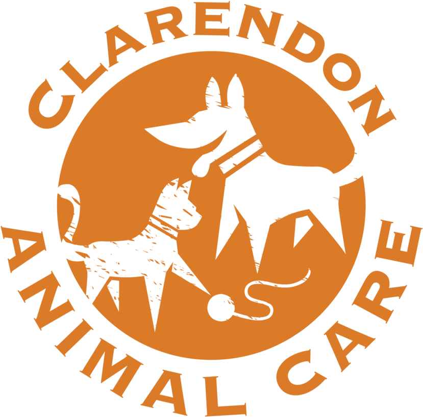 Clarendon Animal Care - Clarendon Animal Care (1000x1004)