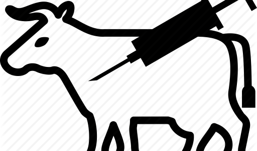 Injectables - Veterinary Physician (512x300)