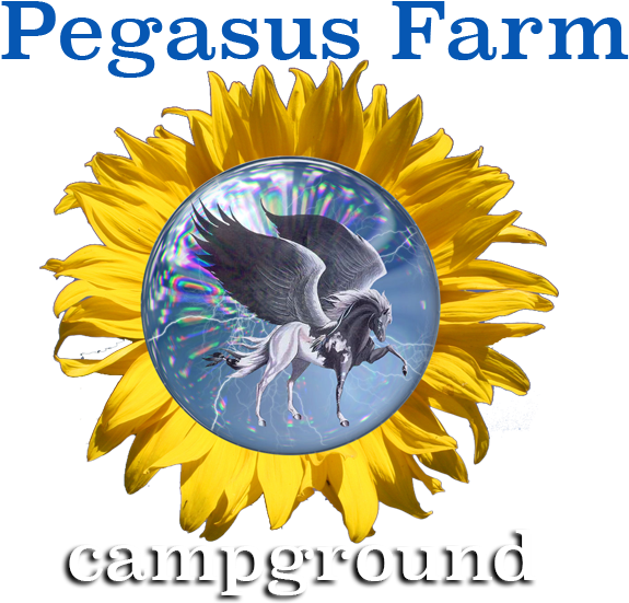 Pegasus Farm Campground - Pegasus Farm Campground (589x589)