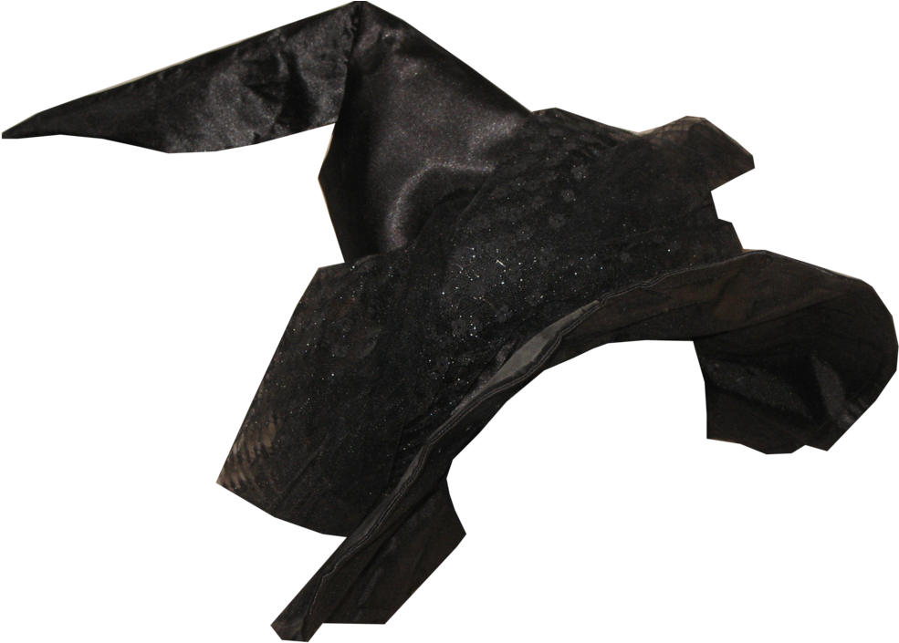Witch's Hat Png By Lexivoneerie On Deviantart - Witch Hat Transparent Png (1024x726)