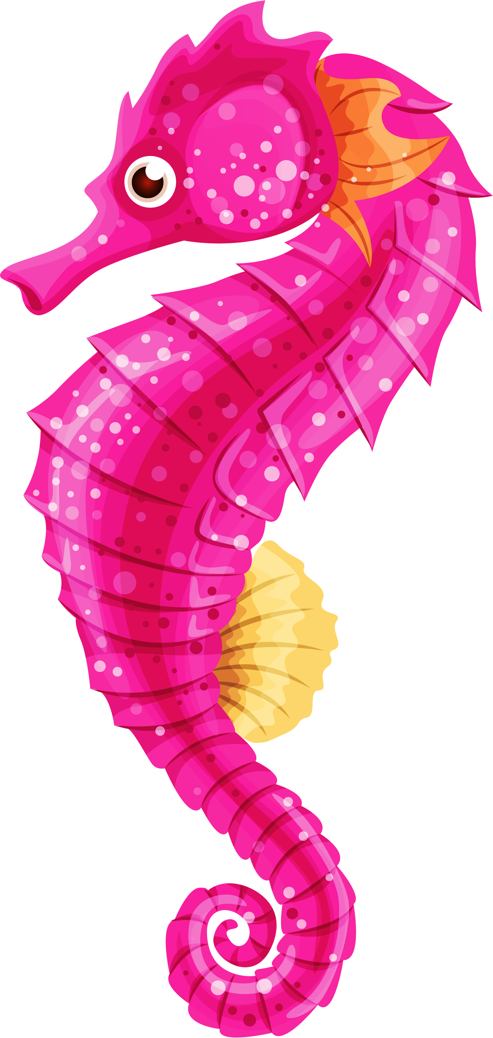 Seahorse Clip Art - Seahorse Clip Art (1720x3620)