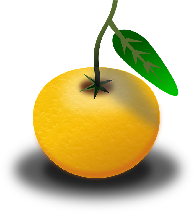 Orange Juice Clipart 17, Buy Clip Art - Custom Orange Shower Curtain (691x720)