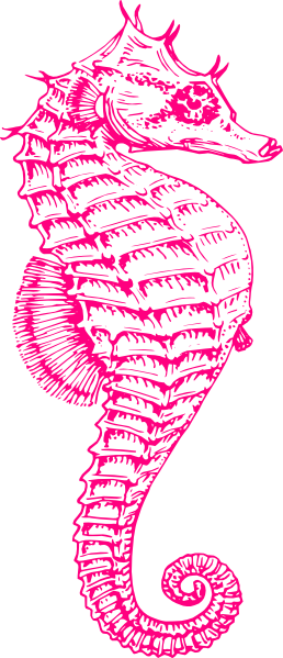 Pink Seahorse Clipart (258x599)
