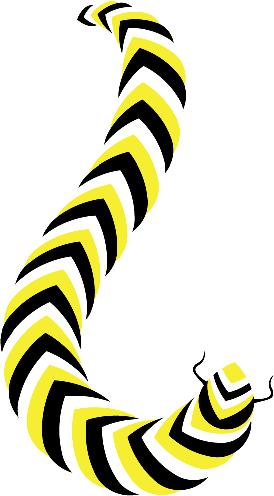 Assessment - Assessment (1000x1000)