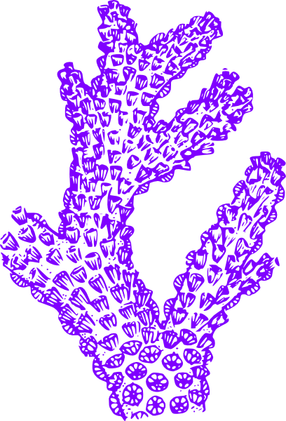 Coral Clip Art Vector - Coral Clip Art (408x600)