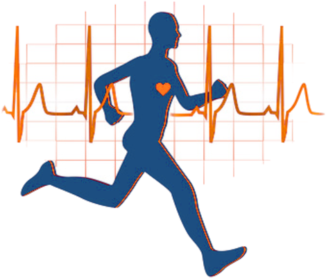 Physically Active Lifestyle Timeline Timetoast Timelines - Does Running Help Your Heart (480x480)