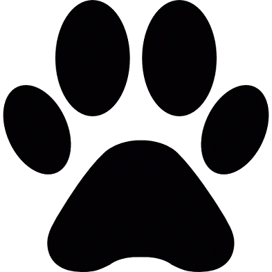 Available In - Cat Paw Png (393x393)