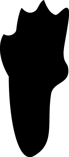 Hind Track - Wool (238x541)