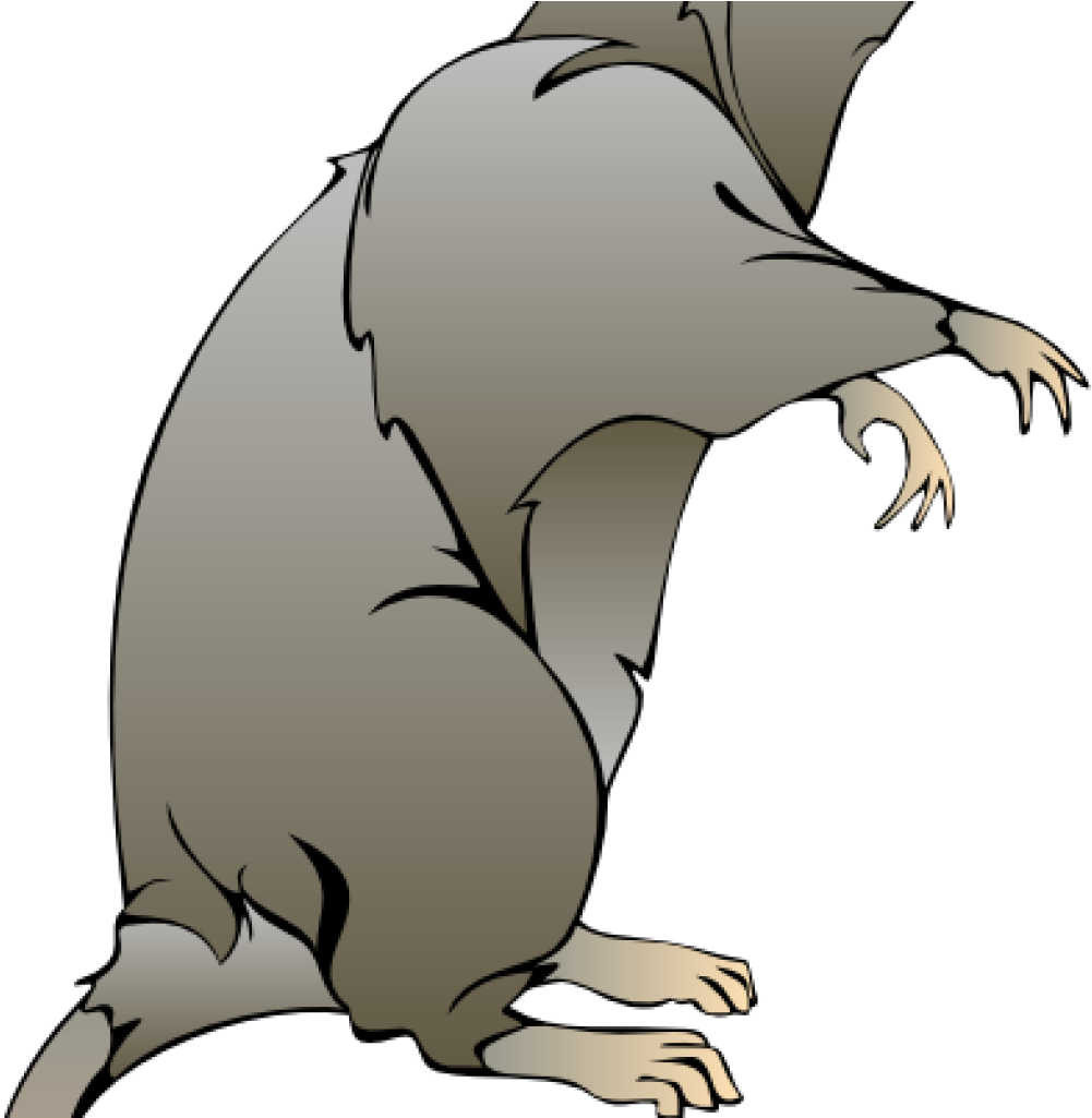 Rat Clipart Rat Clip Art At Clker Vector Clip Art Online - Cartoon Rat (1024x1024)