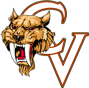 Castle View High School Logo (360x360)