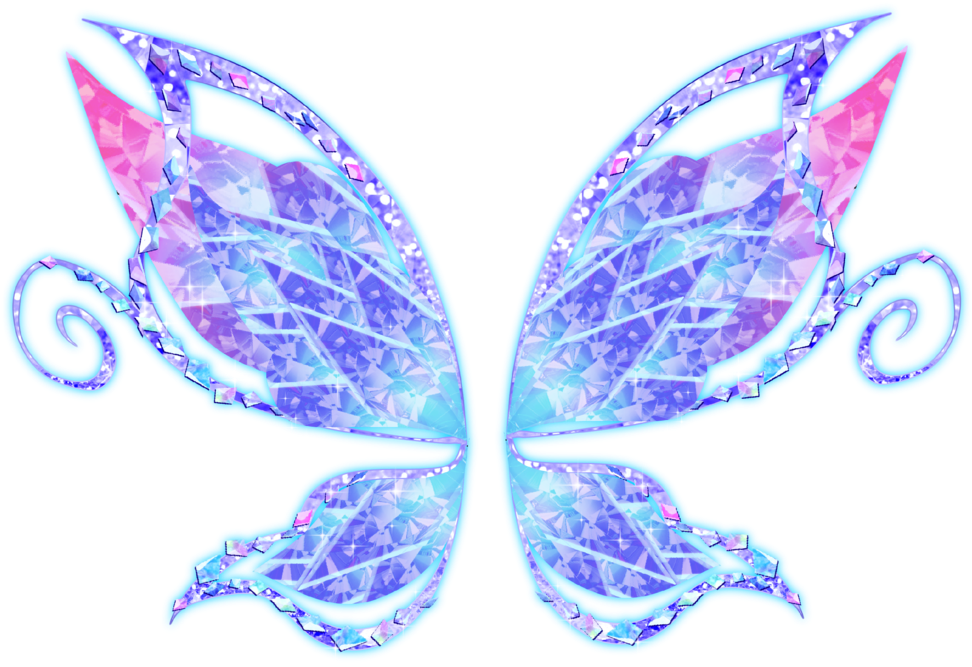 Swallowtail Butterfly (1023x721)