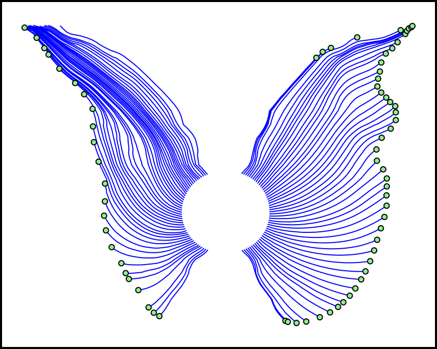 Butterfly - - Movement Of Butterfly's Wings (855x682)