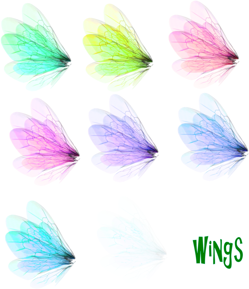 Wing Set 1 Png By Mysticmorning - Wing (900x1083)
