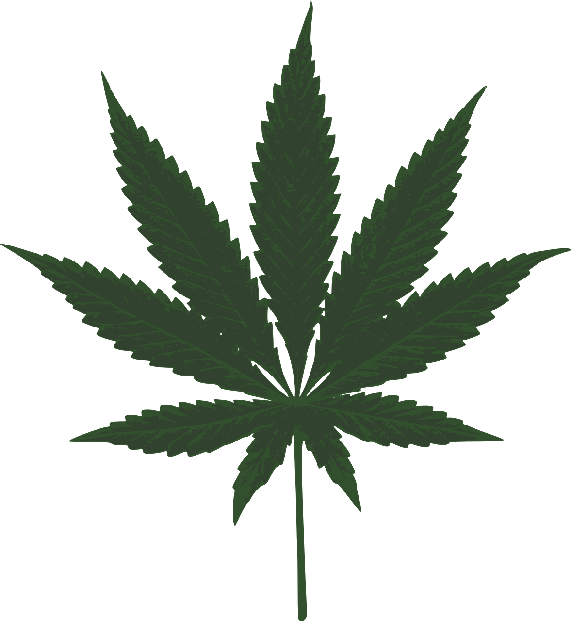 Political Risk Increases For Medical Marijuana - Marijuana Leaf Vector Art (689x750)