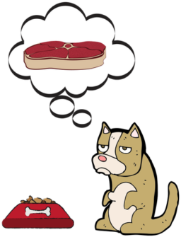 The Benefits Of Feeding Your Dog Raw Food - Drawing (360x360)