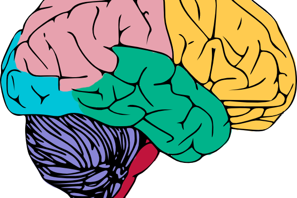 Tilt That Head, Flaunt That Neck And Bam - Creative Process In The Individual [book] (600x400)