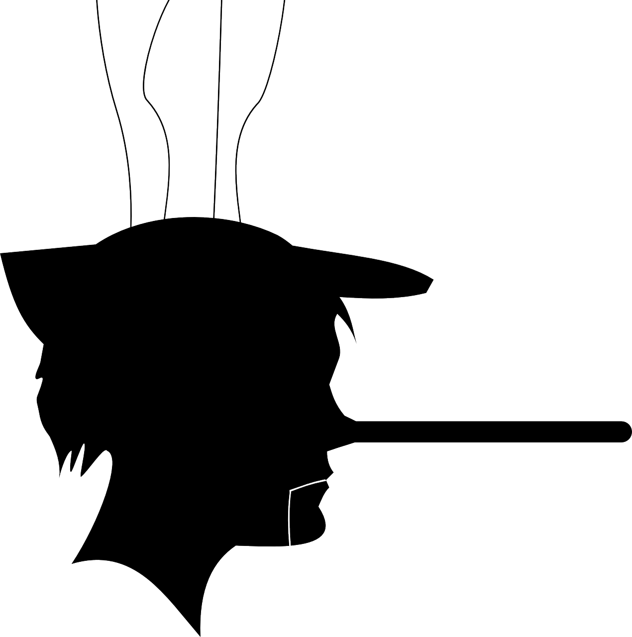 ¿por Qué Le Llamamos Posverdad A Lo Que Sólo Son Mentiras - Pinocchio Silhouette Png (1270x1280)