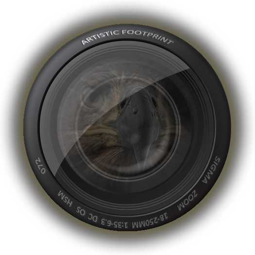 James Dahmer Photography - Logo (525x525)