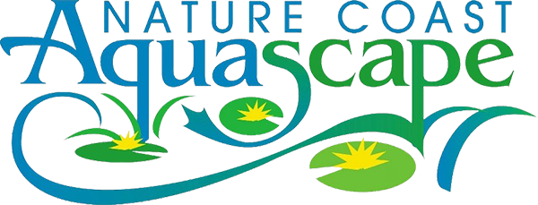 Nature Coast Aquascape - Aquascape (600x229)
