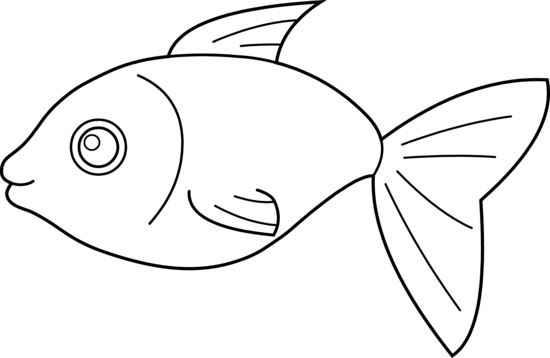 Image Of Fish Clip Art - Fish Images Clip Art (550x358)