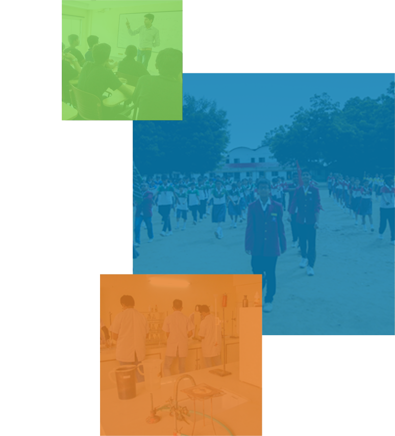 We Welcome You To Our School Website A Window To The - Tree (774x856)