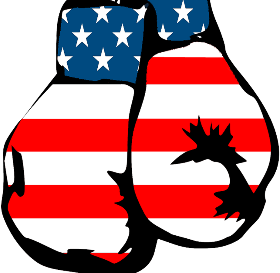 Don't Pull Your Punches Bernie What Sanders Needs To - American Flag Boxing Gloves (980x898)