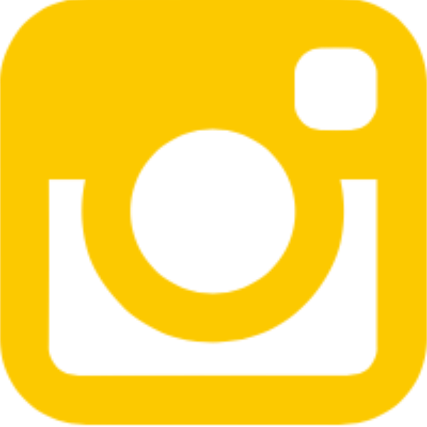 Instagram Icon - Transparent Background White Instagram Logo (600x600)