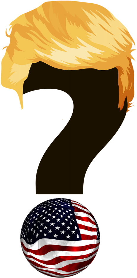 Vraagteken Trump (632x1280)