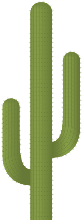Cactus Png 14, Buy Clip Art - Cactus Plants (360x720)