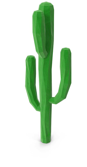 Saguaro Cactus Png Download Image - Weberocereus (600x600)