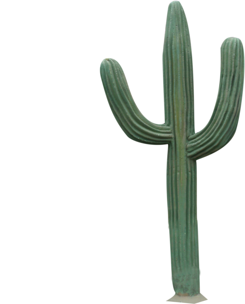 Cactus Png By Yellowicous-stock - Cactus Png Transparent (1024x1365)