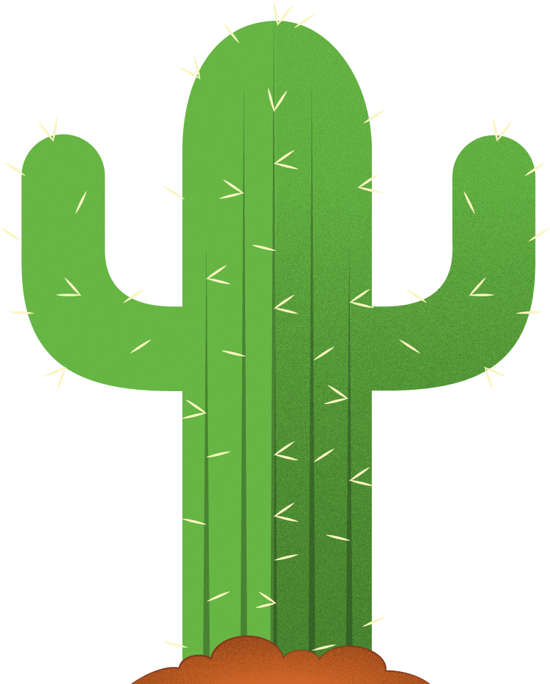 Image - Hedgehog Cactus (800x1000)
