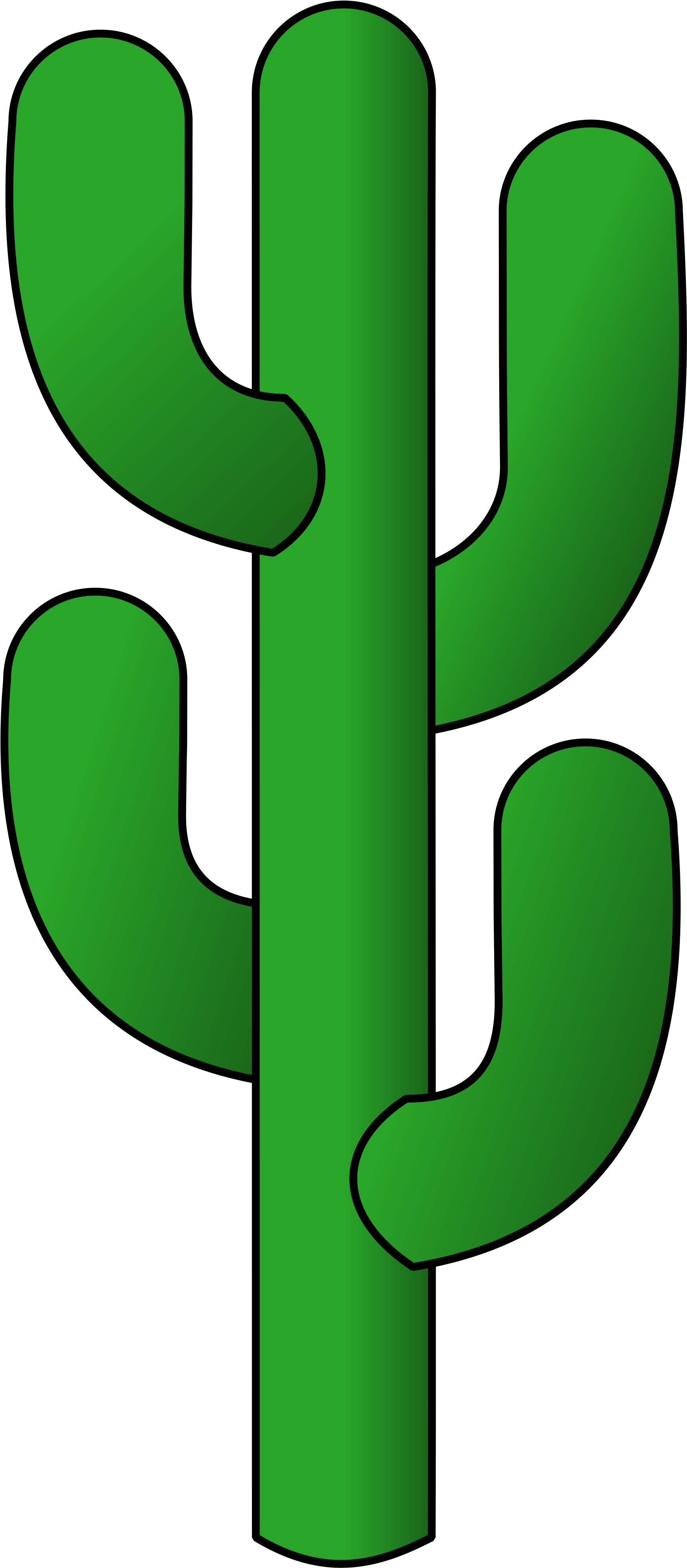 Cactus Png 15, - Dessin Cactus Png (2000x4333)