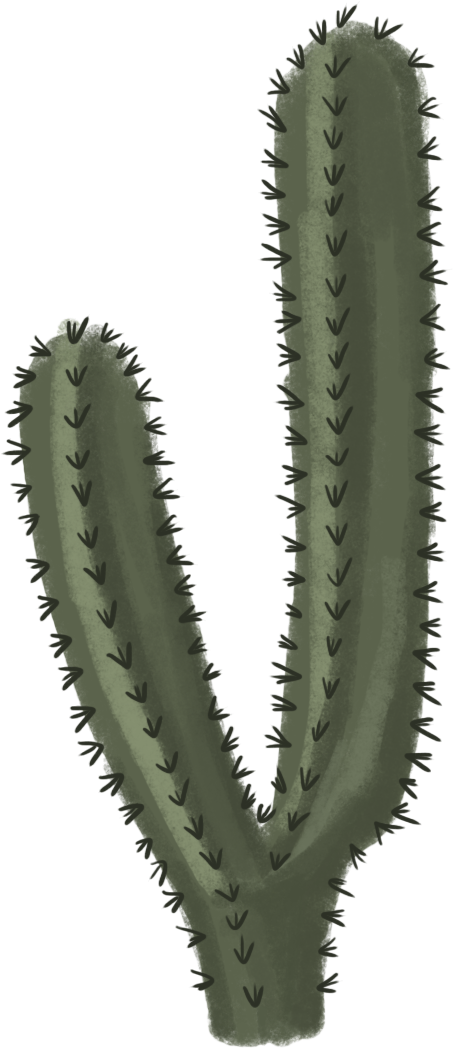 Cactus Png File - Cactus Png (720x1118)