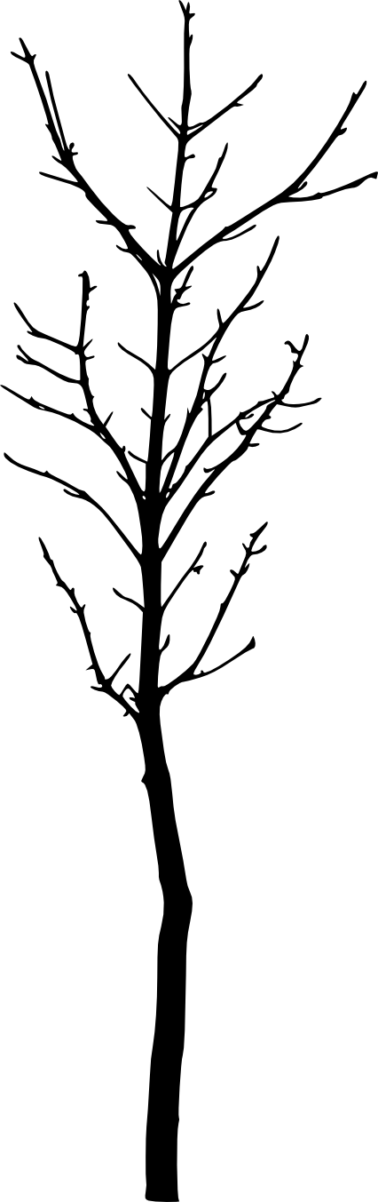 Free Download - Tree (426x1353)