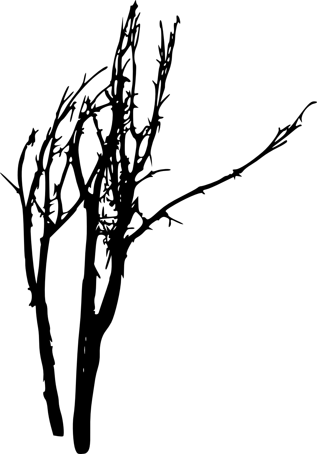 Free Download - Tree (1082x1548)