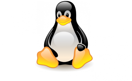 Strengthen A Real Vpn With Openvpn - Linux Pingu (538x330)