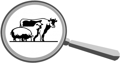 Animal Digestion - Large Www.societyofpeace.org Mug (498x309)