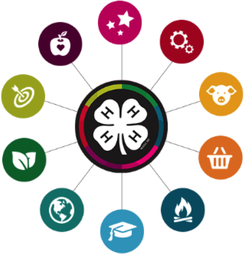 4-h Homepage Screen Capture - 4-h (989x989)
