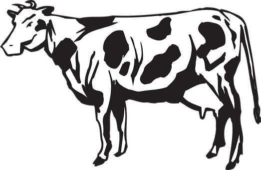 Cow, Livestock, Cattle, Farm, Animal - Goat Herd Clipart Black And White (523x340)