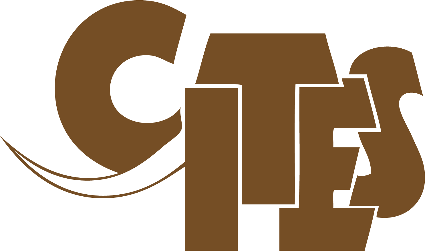 Español English Frances - Cites (1620x1227)